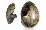Polished Dragon Egg Geode ( lbs) - Removable Section #199996-3